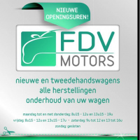 FDV-Motors
